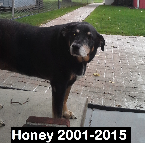 Honey 2001-2015
